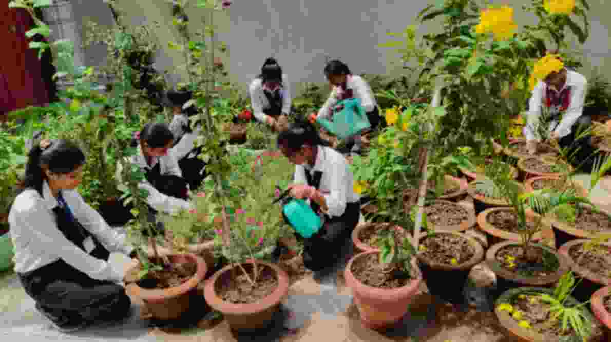 CIMAGE's Swachhata Pakhwada 2025: Fostering a Culture of Cleanliness and Sustainability